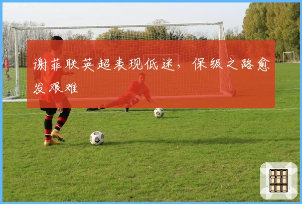 谢菲联英超表现低迷，保级之路愈发艰难