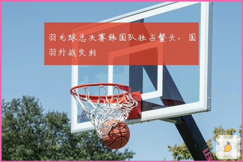 羽毛球总决赛韩国队独占鳌头，国羽外战失利