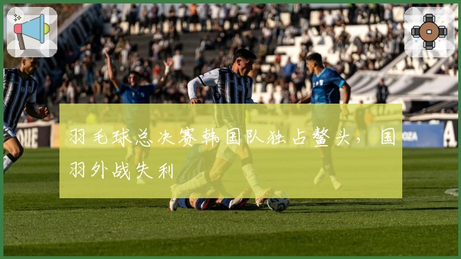 羽毛球总决赛韩国队独占鳌头，国羽外战失利